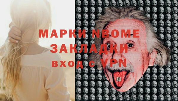 прущие грибы Ладушкин