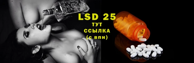 прущие грибы Ладушкин
