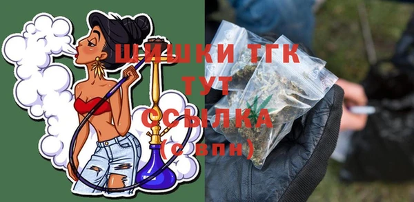 прущие грибы Ладушкин