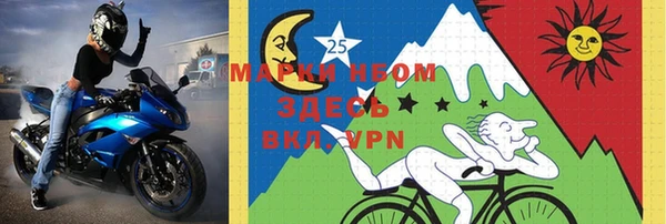 прущие грибы Ладушкин