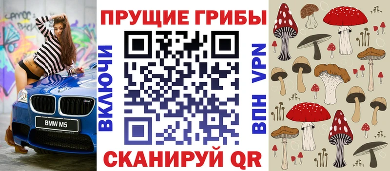 Галлюциногенные грибы Cubensis  Новоалександровск 