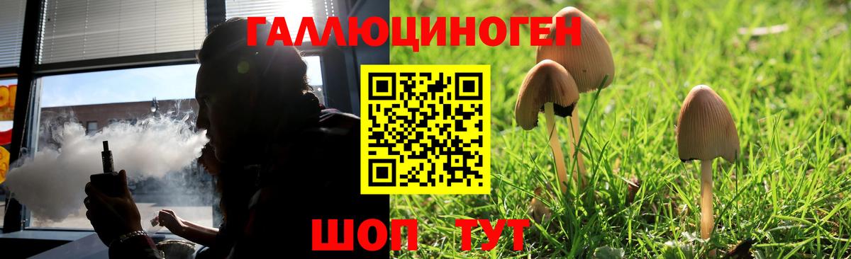 Псилоцибиновые грибы ЛСД  Псилоцибиновые грибы прущие грибы  Вход с VPN  Новоалександровск 